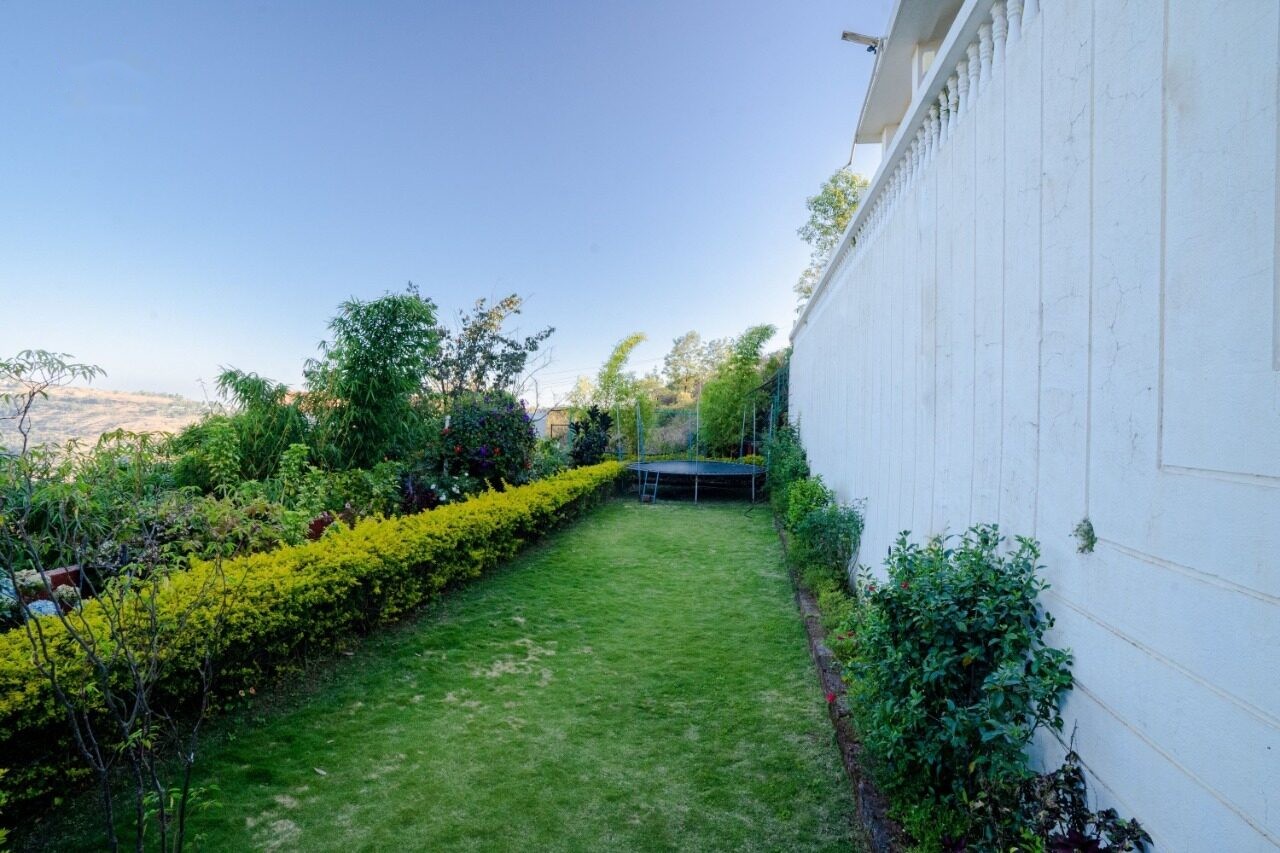 Garden pathway lined with hedges